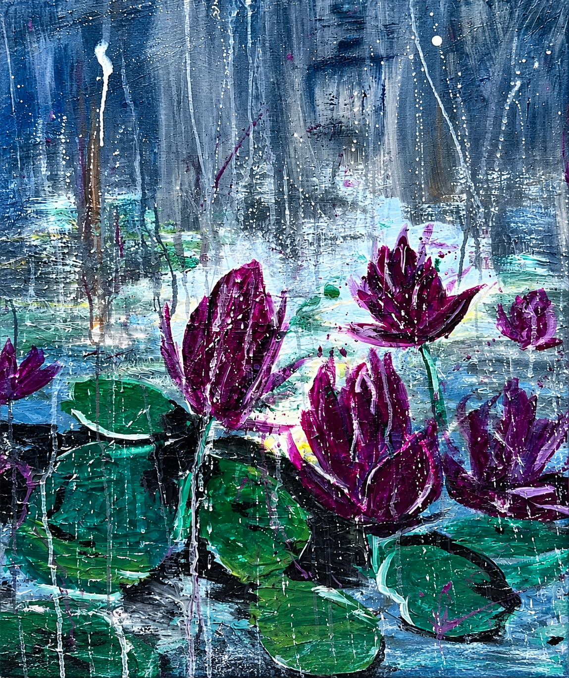 Water lily’s