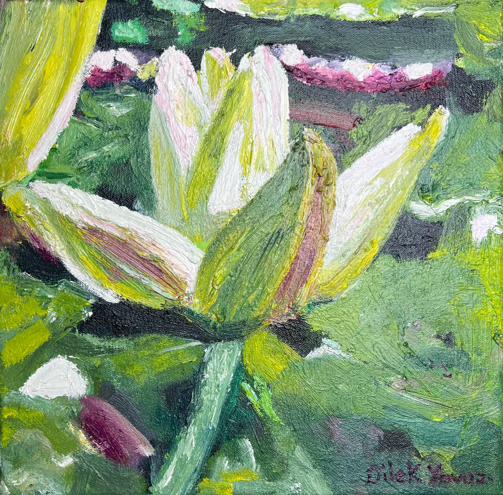 Lily